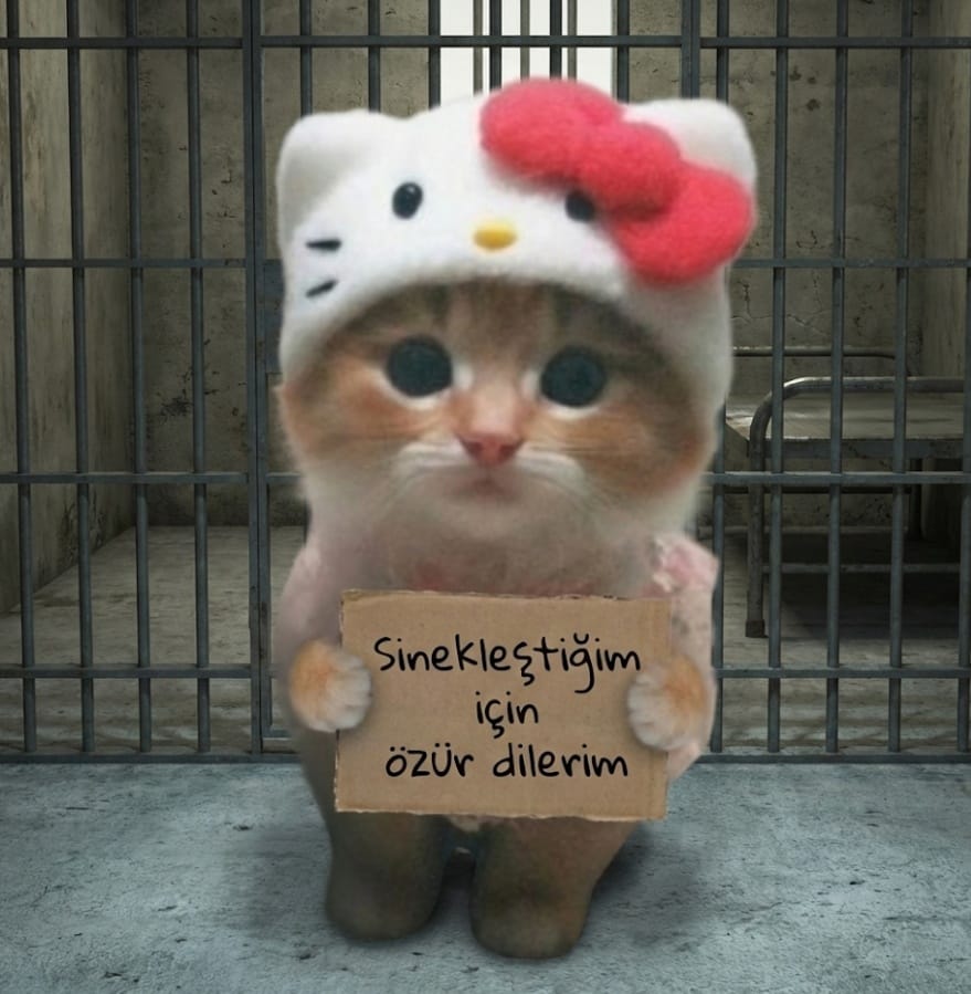 Galeri fotoğrafı 6